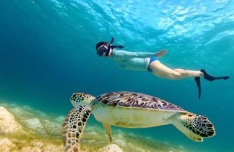 A woman swimming with a sea turtle off Ponta Membene