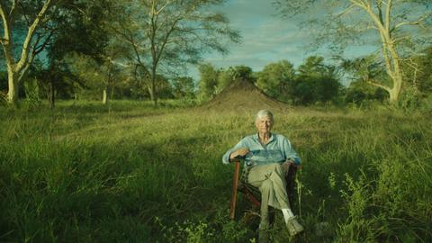E. O. Wilson sitting on a chair in the bush of Gorongosa National Park