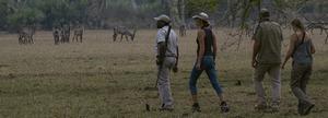A walking safari in Gorongosa National Park