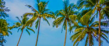 mozambique holiday packages