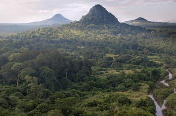A view of Mount Gorongosa in the distance with forests all around it