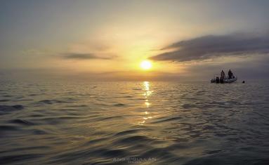 A sunset view of the ocean with Dolphin Encountours